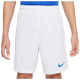Nike Παιδικό σορτς Dri-FIT Park 3 Shorts